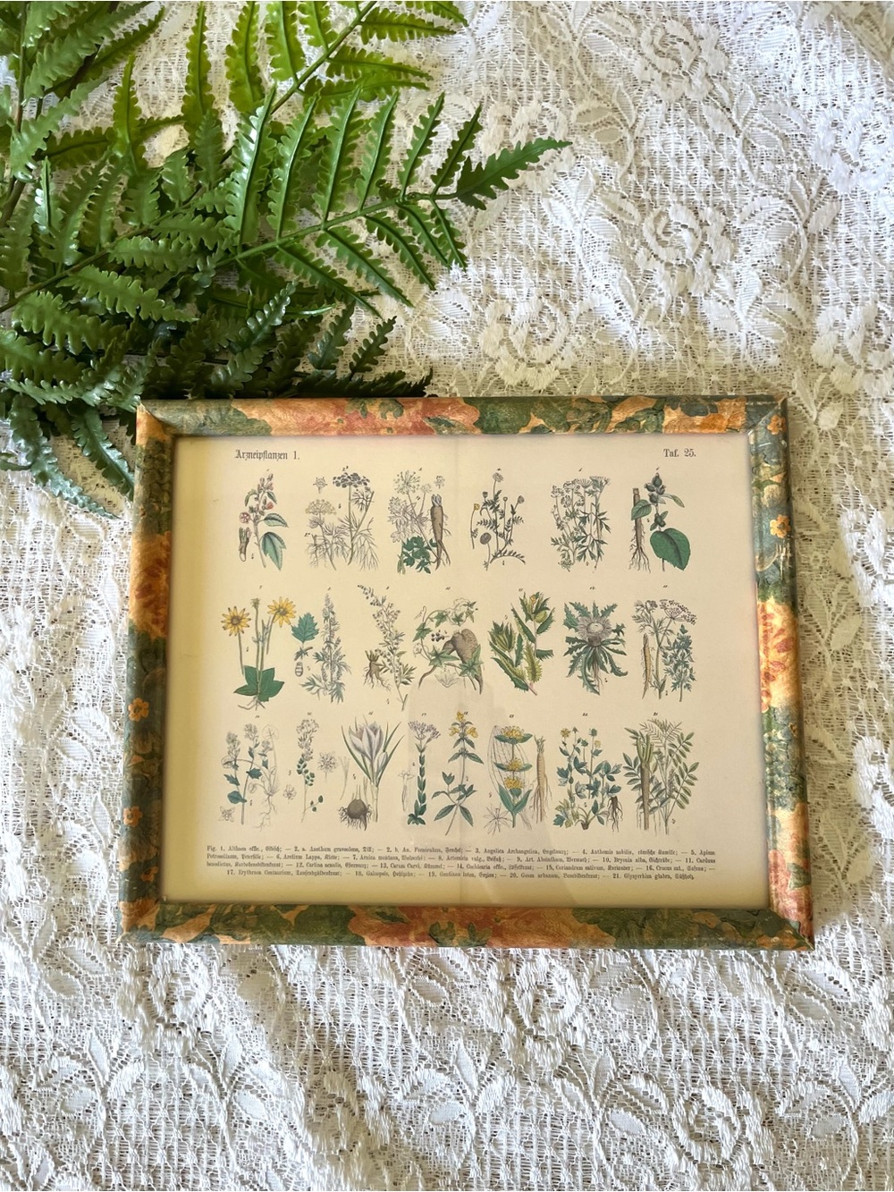 Vintage Wood Framed Floral Herbal Chart 8x10